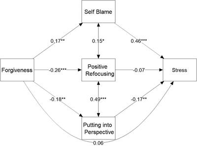 Impact of religion and spirituality on the incidence of depression and mental health among young adults in the Czech Republic